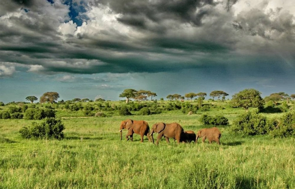 Ufipa Highland Hotel near Rukwa Valley